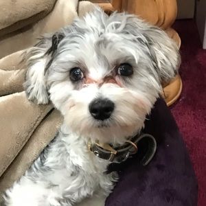 Meet your Posher, Vena